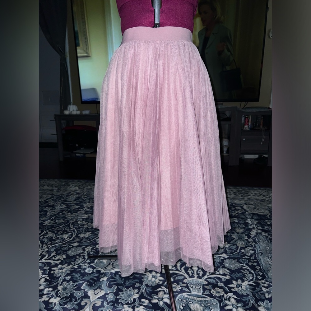 NWT Blush Pink Tulle Midi Skirt